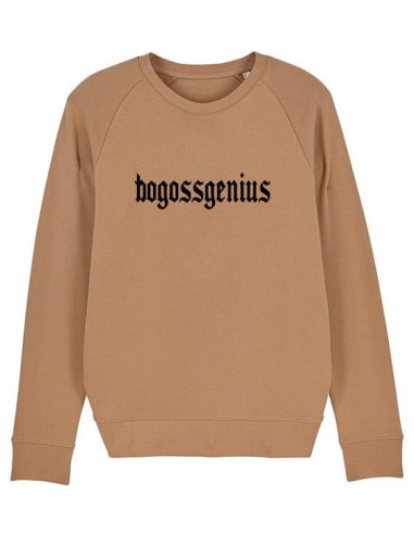 Sweat-shirt camel seagram bogossgenius Fin de série