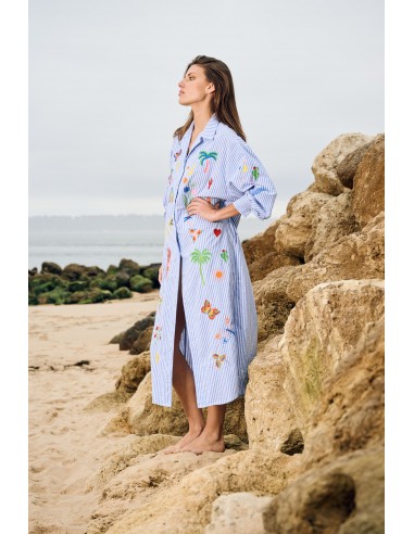 ROBE RAYÉE BRODÉE BLEU store