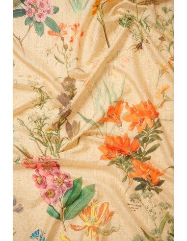 BOTANICAL SCARF BEIGE meilleur choix